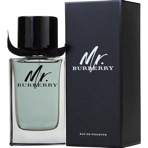 burberry mr. burberry eau de toilette|burberry eau de toilette men.